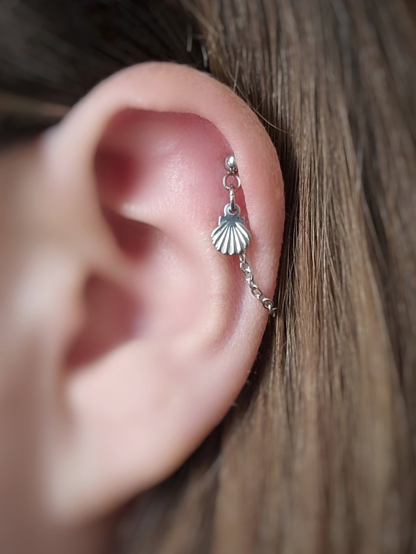 Stainless Steel Shell Cartilage Chain Earring