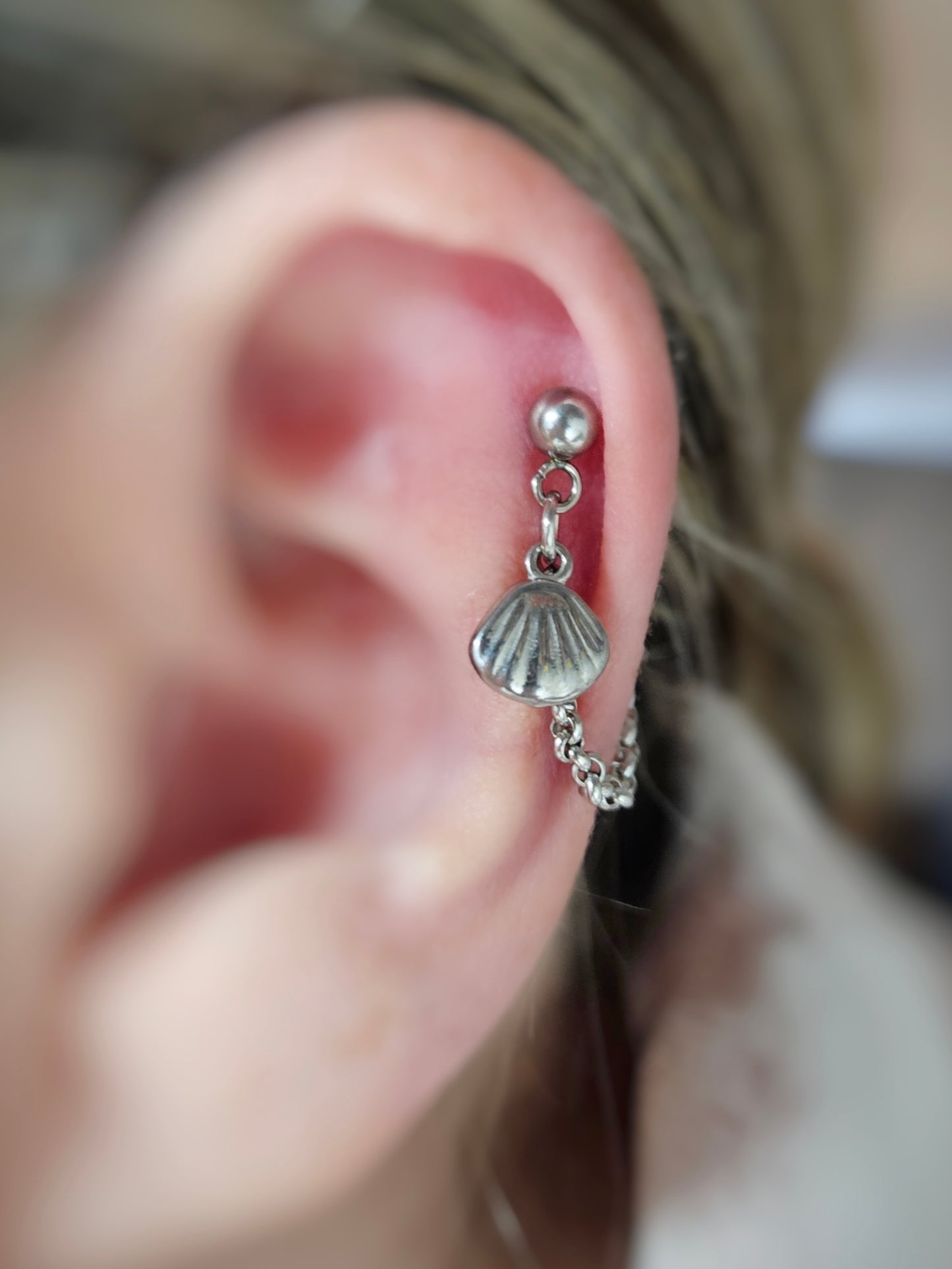 Stainless Steel Shell Cartilage Chain Earring