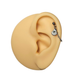 Stainless Steel Shell Cartilage Chain Earring
