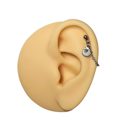 Stainless Steel Shell Cartilage Chain Earring