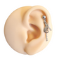 cat earring stainless steel cartilage piercing